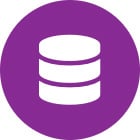 purple-circle-database